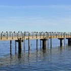 (alte) Seebrücke in Sassnitz