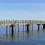 (alte) Seebrücke in Sassnitz