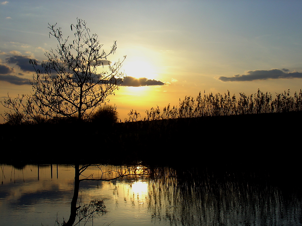 Alte Spree 1