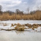 alte spree mönchwinkel - es taut