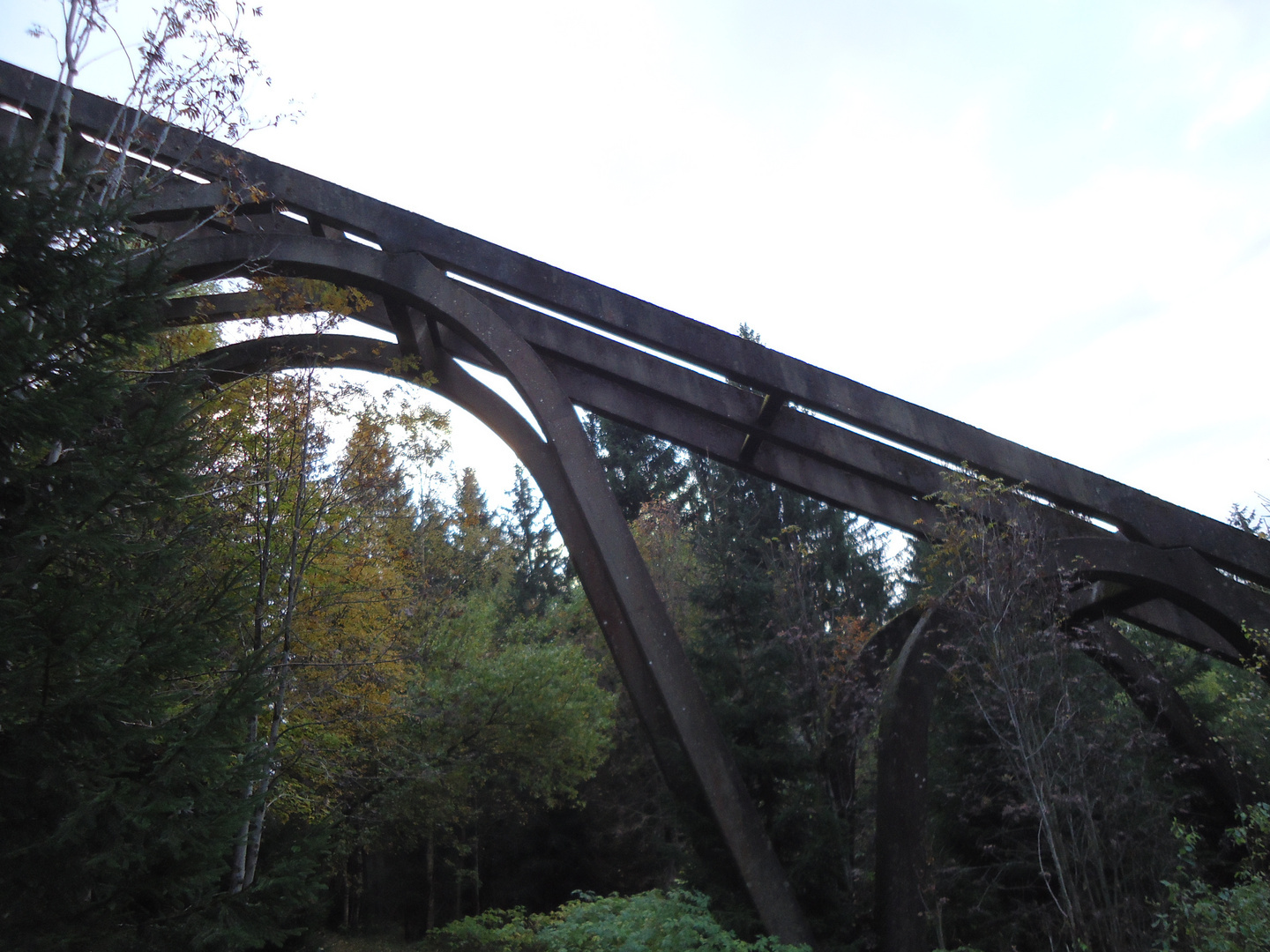 alte Sprungschanze im Harz