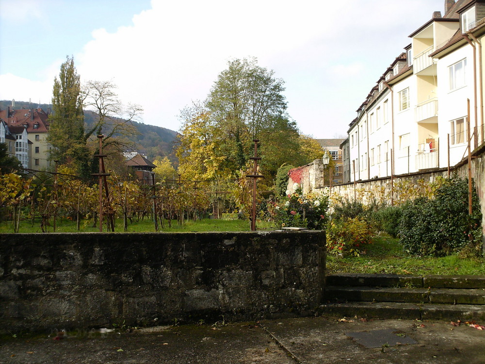 Alte Stadt,alte Mauern,alter Wein!