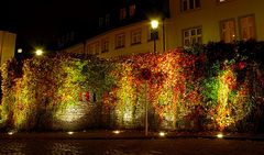 Alte Stadtmauer