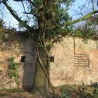 Alte Stadtmauer am Niederrhein