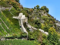 Alte Stadtmauer in Bacharach