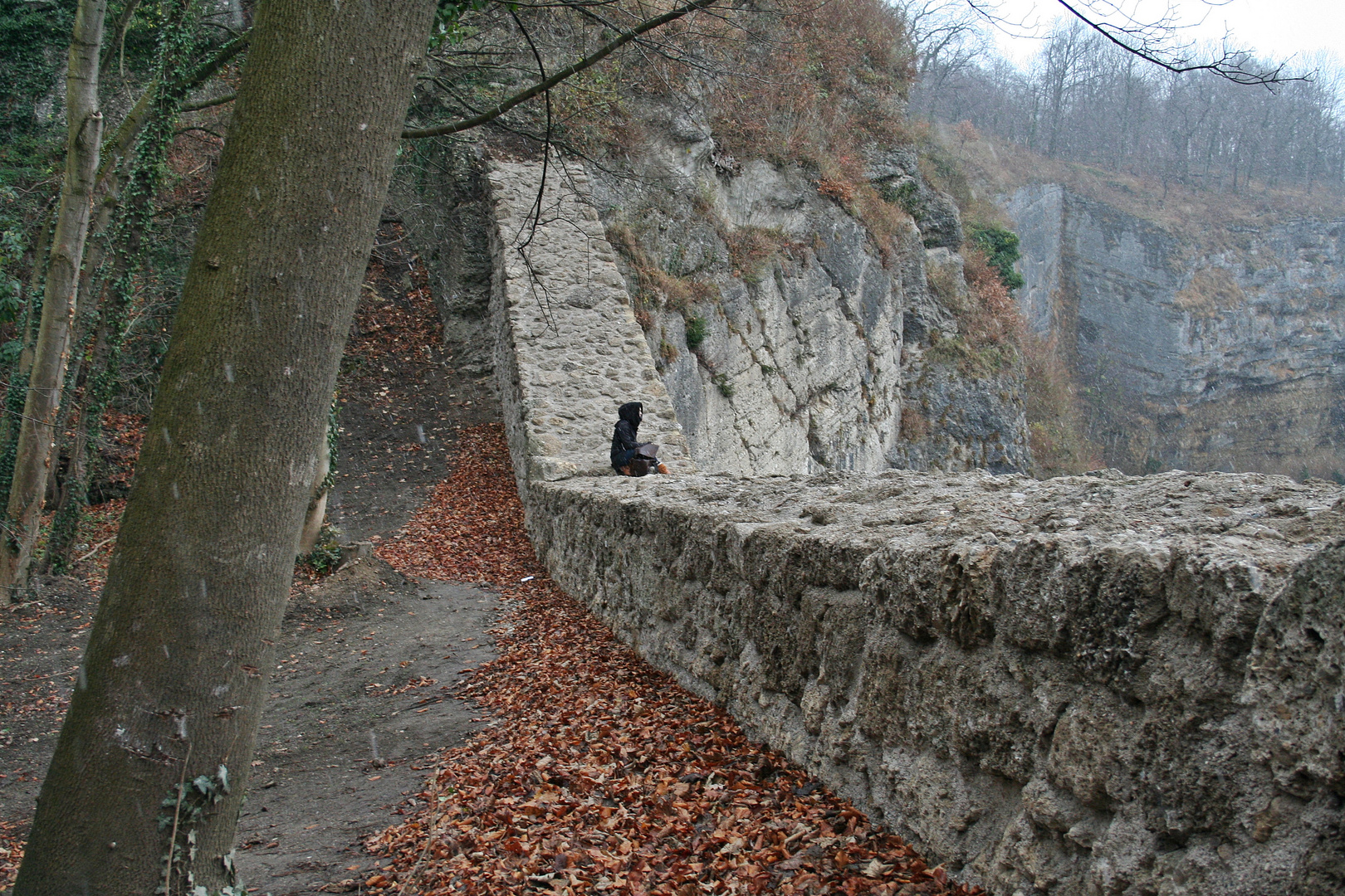 alte Stadtmauer von Salzburg