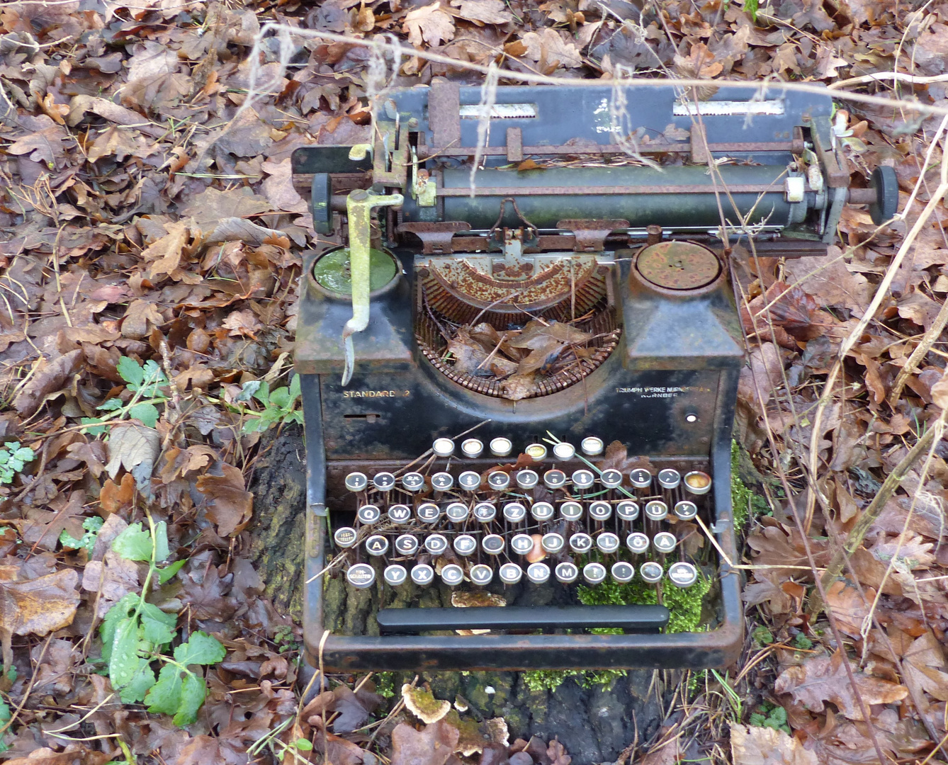 Alte Standard-Schreibmaschine im Wald