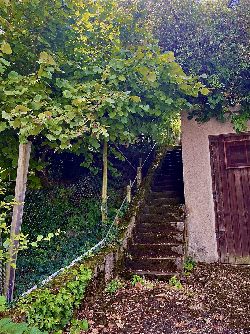 alte steile Treppen zu den Gärten und Weinbergen 