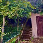 alte steile Treppen zu den Gärten und Weinbergen 