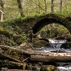 Alte Steinbrücke