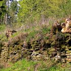 Alte Steinmauer in Kreuztal-Burgholdinghausen