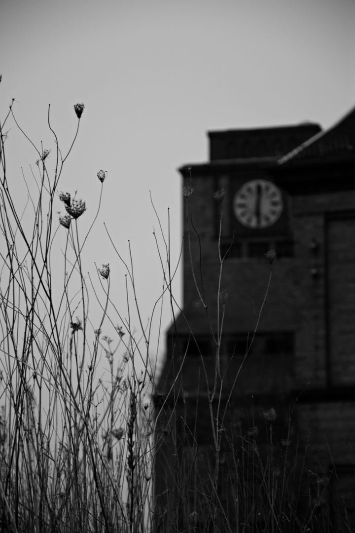 alte sternburgbrauerei.