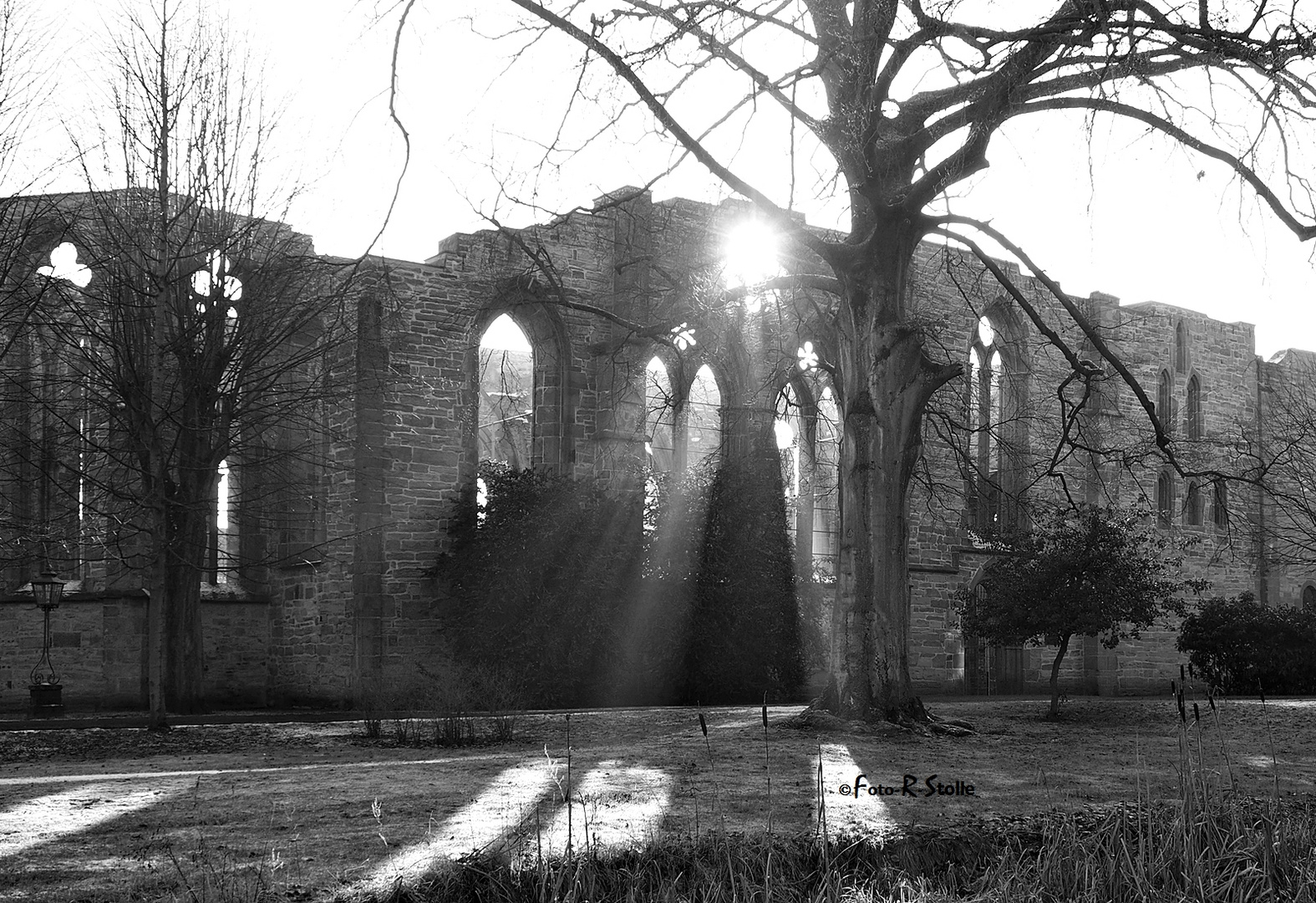 Alte Stiftsruine in Lippstadt