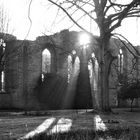 Alte Stiftsruine in Lippstadt