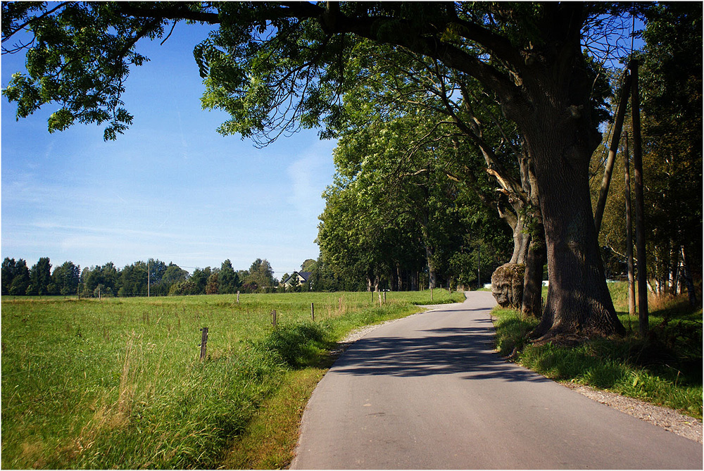 alte Straße