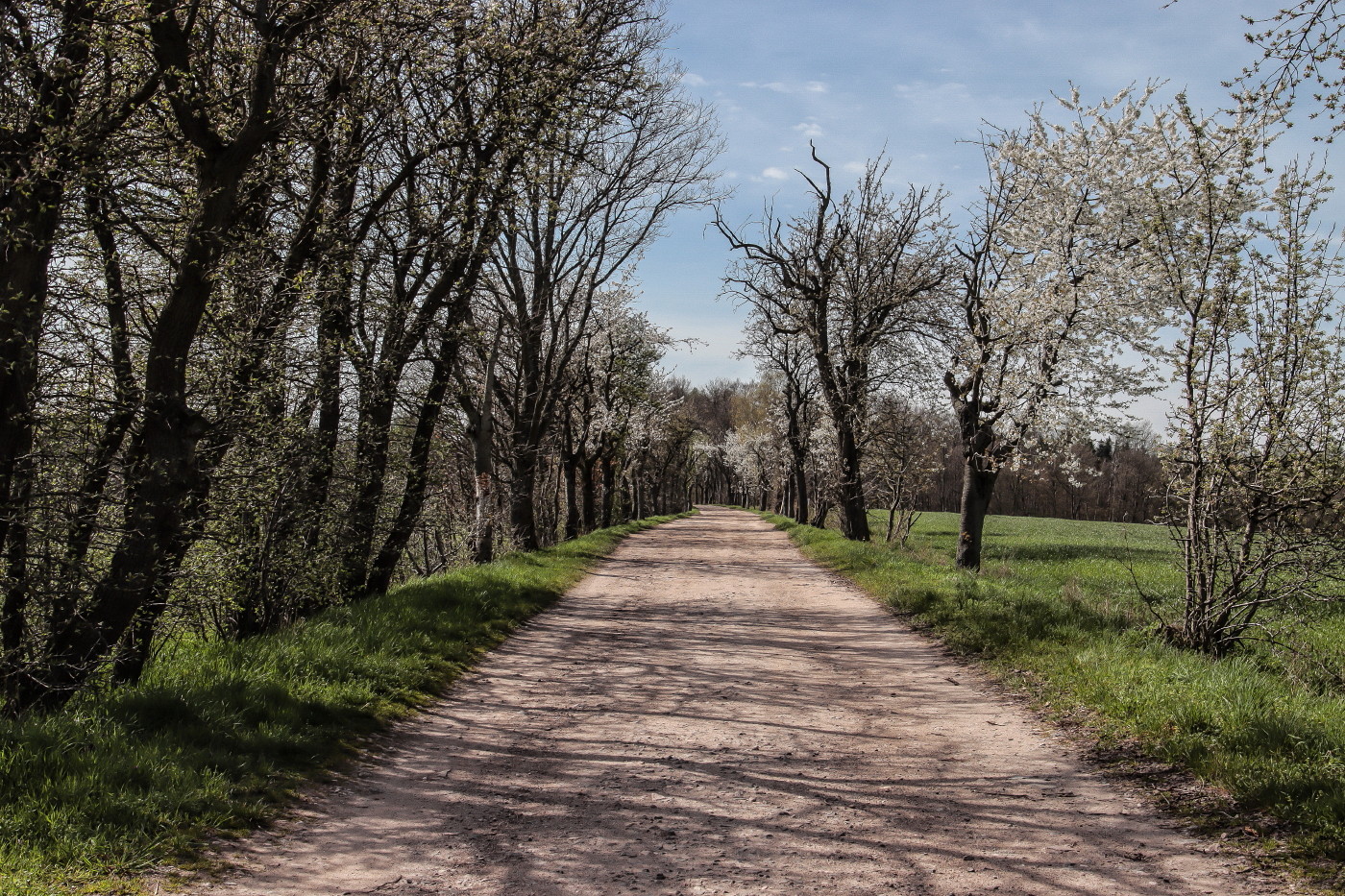 Alte Straßen, neue Bilder 3