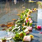 Alte Synagoge Freiburg, Blumen zum Gedenken!