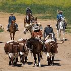 Alte Tradition in Andalusien