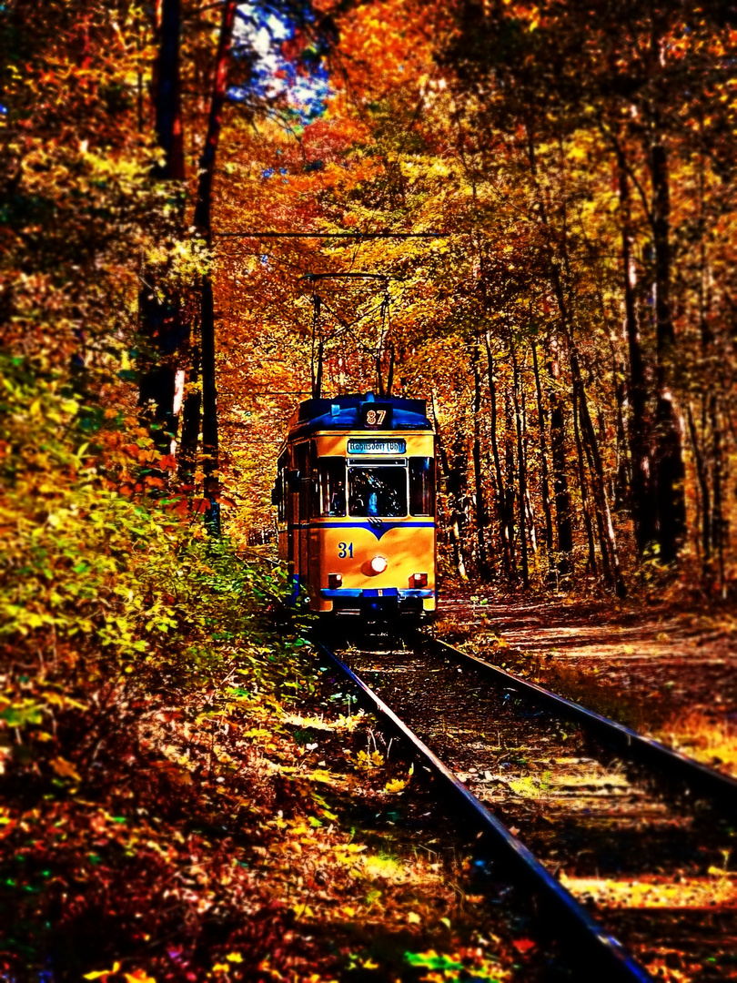 Alte Tram im Herbstwald