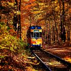 Alte Tram im Herbstwald