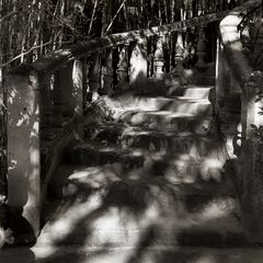 Alte Treppe im Arabischen Garten