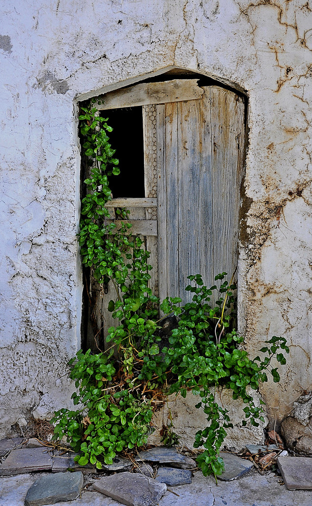 alte Tür