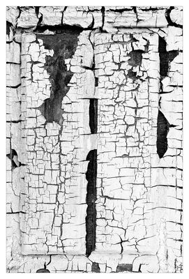 Alte Tür, Schlepzig 2020