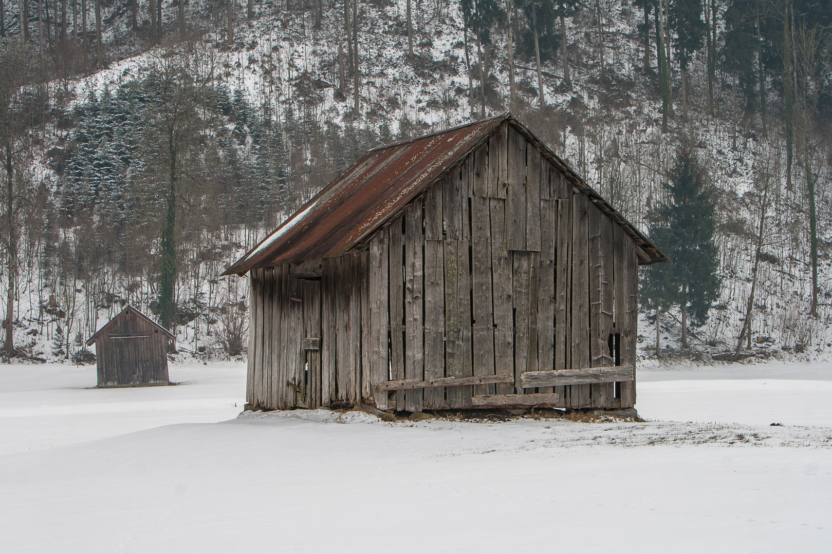 Alte Turbahötta im Schellenbergerriet