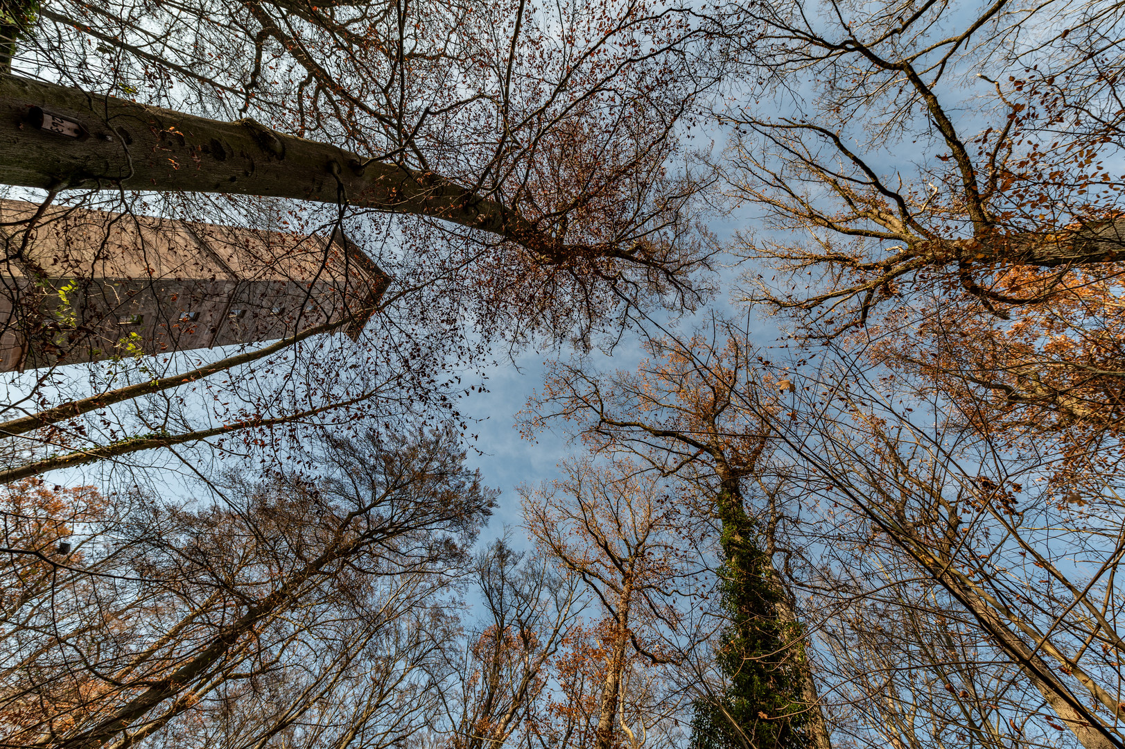 Alte Veste im Spätherbst