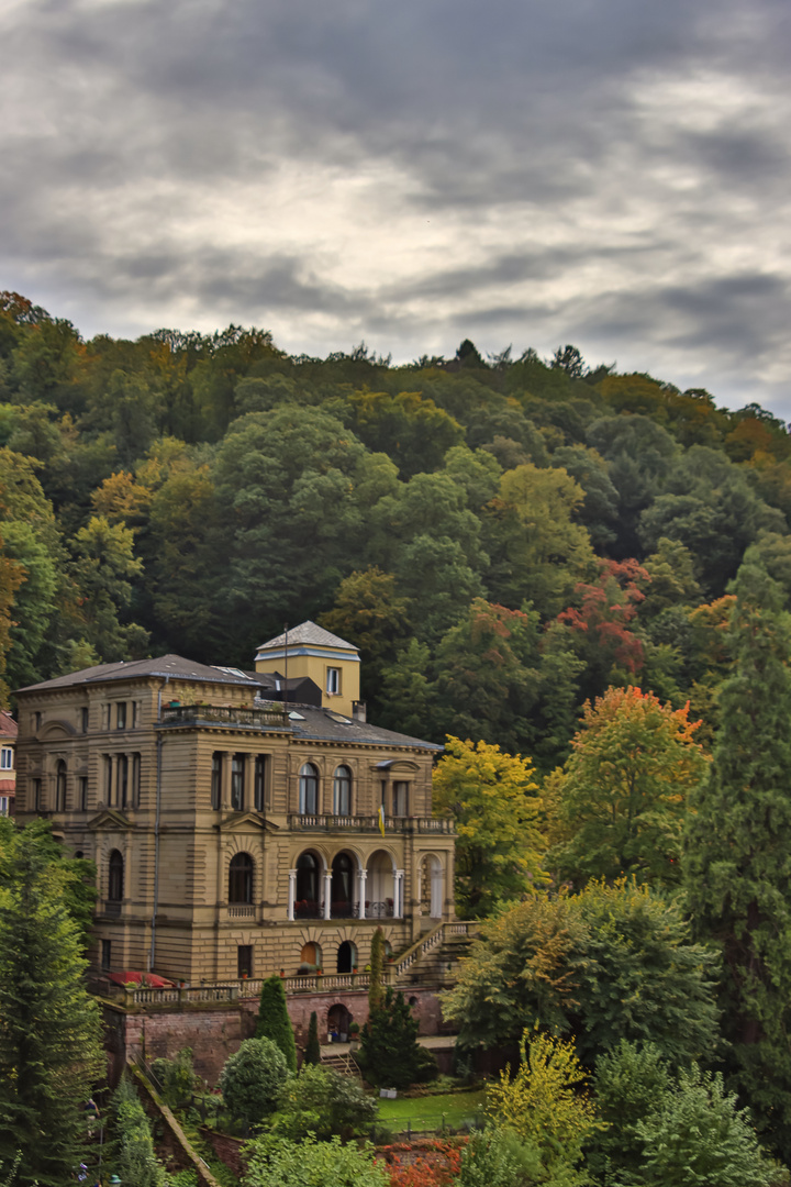 Alte Villa am Schloß Heidelberg Foto & Bild architektur, motive