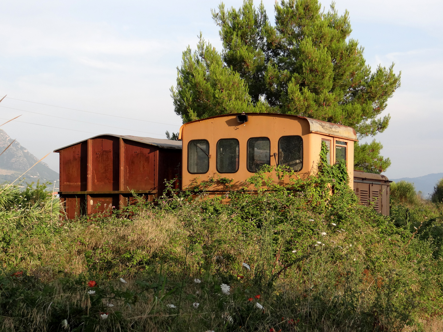 Alte Waggons