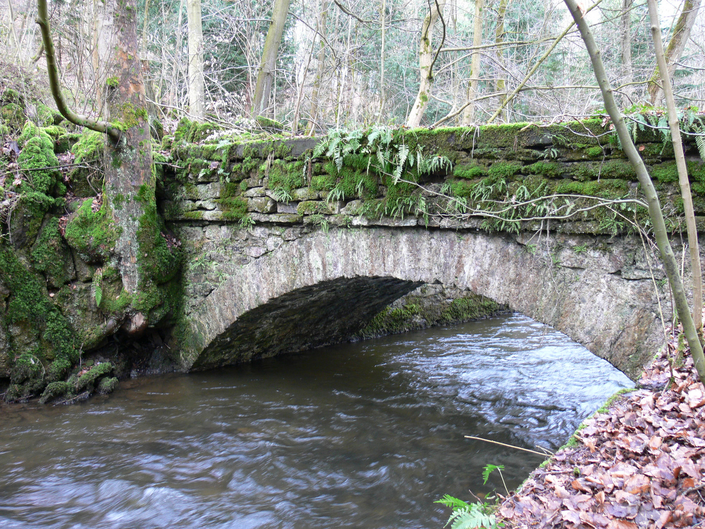 Alte Wasserbrücke