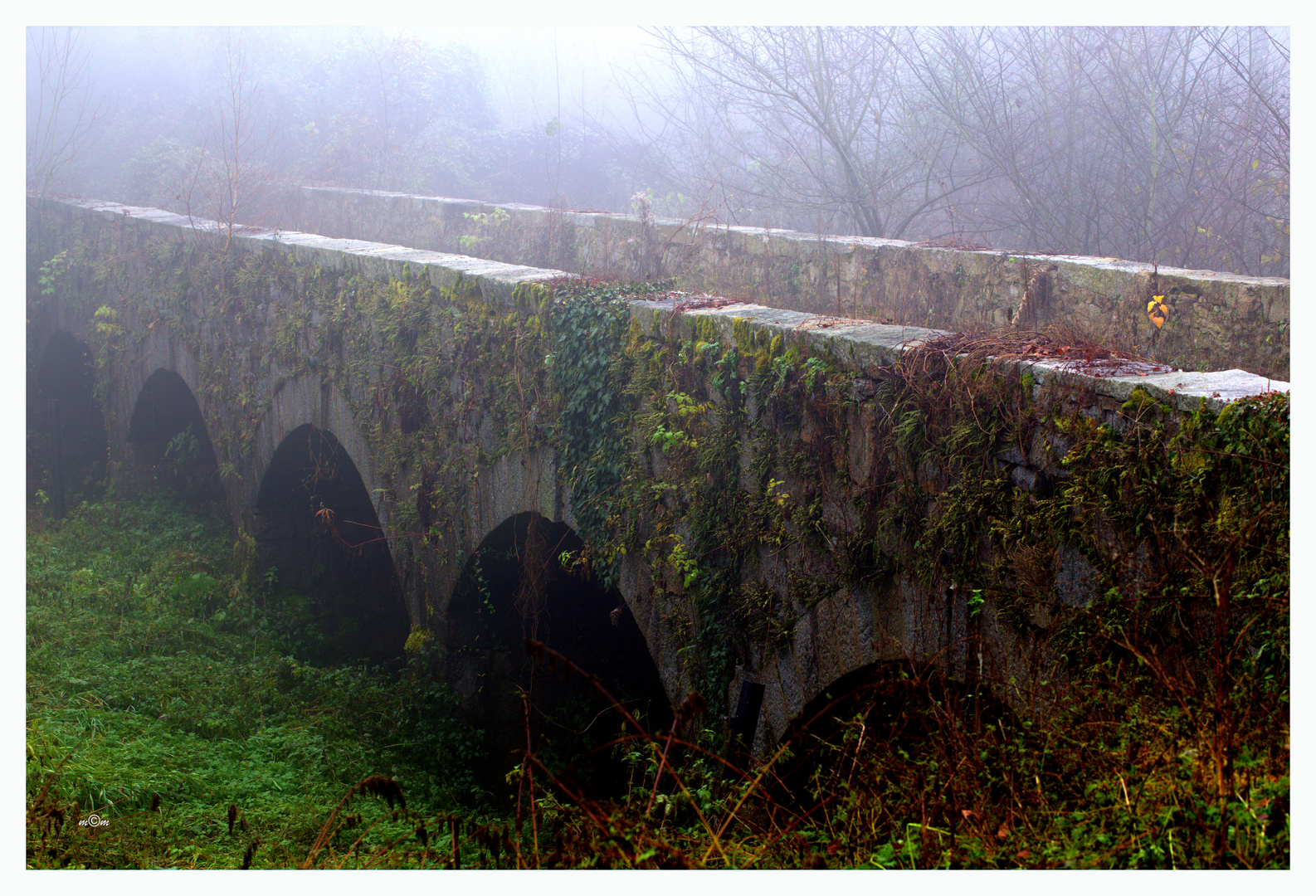 Alte Wege im Herbstnebel