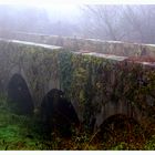 Alte Wege im Herbstnebel