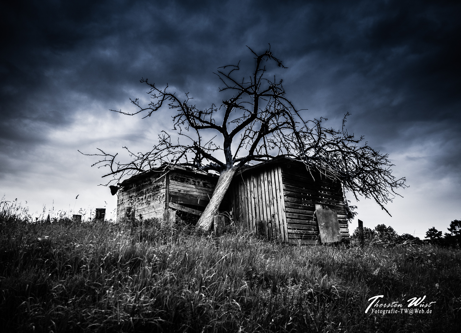 Alte Weidehütte - Die Zweite