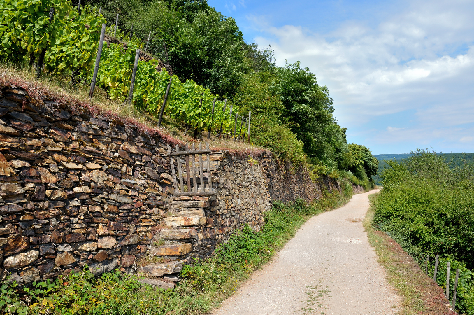 Alte Weinberge