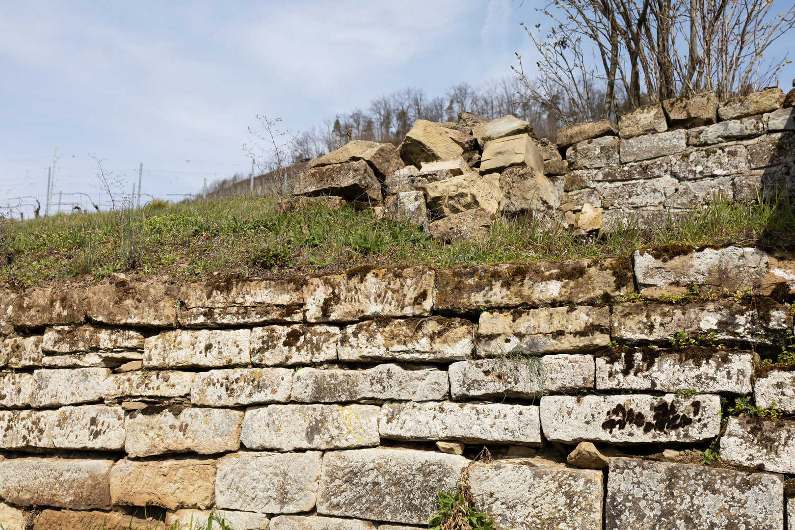 Alte Weinbergsmauer