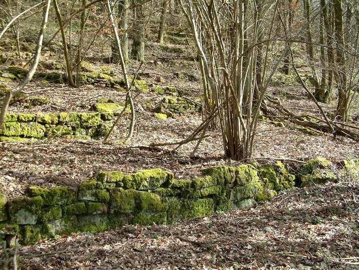 Alte Weinbergsmauer