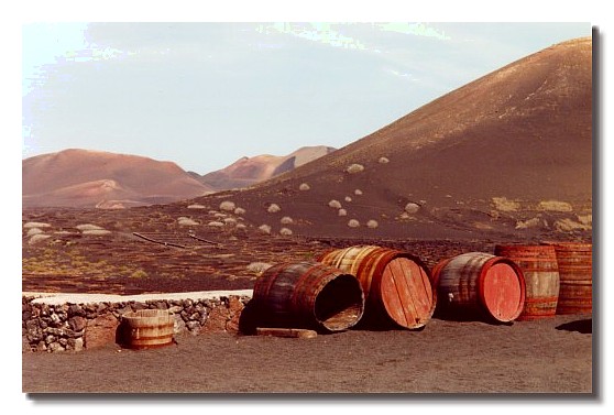 Alte Weinfässer im Sand ... La Geria, Lanzarote
