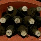 Alte Weinflaschen im Weinkeller