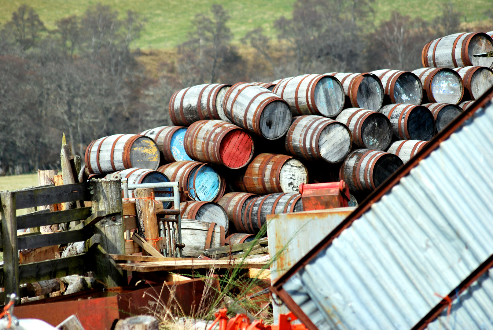 Alte Whisky-Fässer in den Highlands