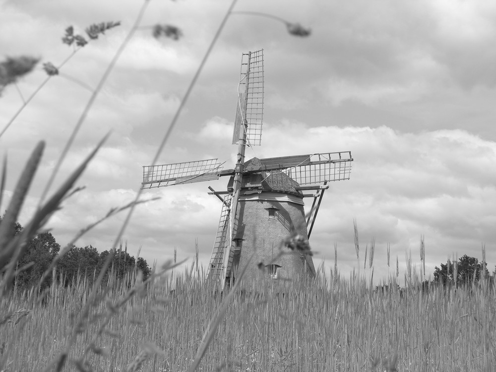 Alte Windmühle