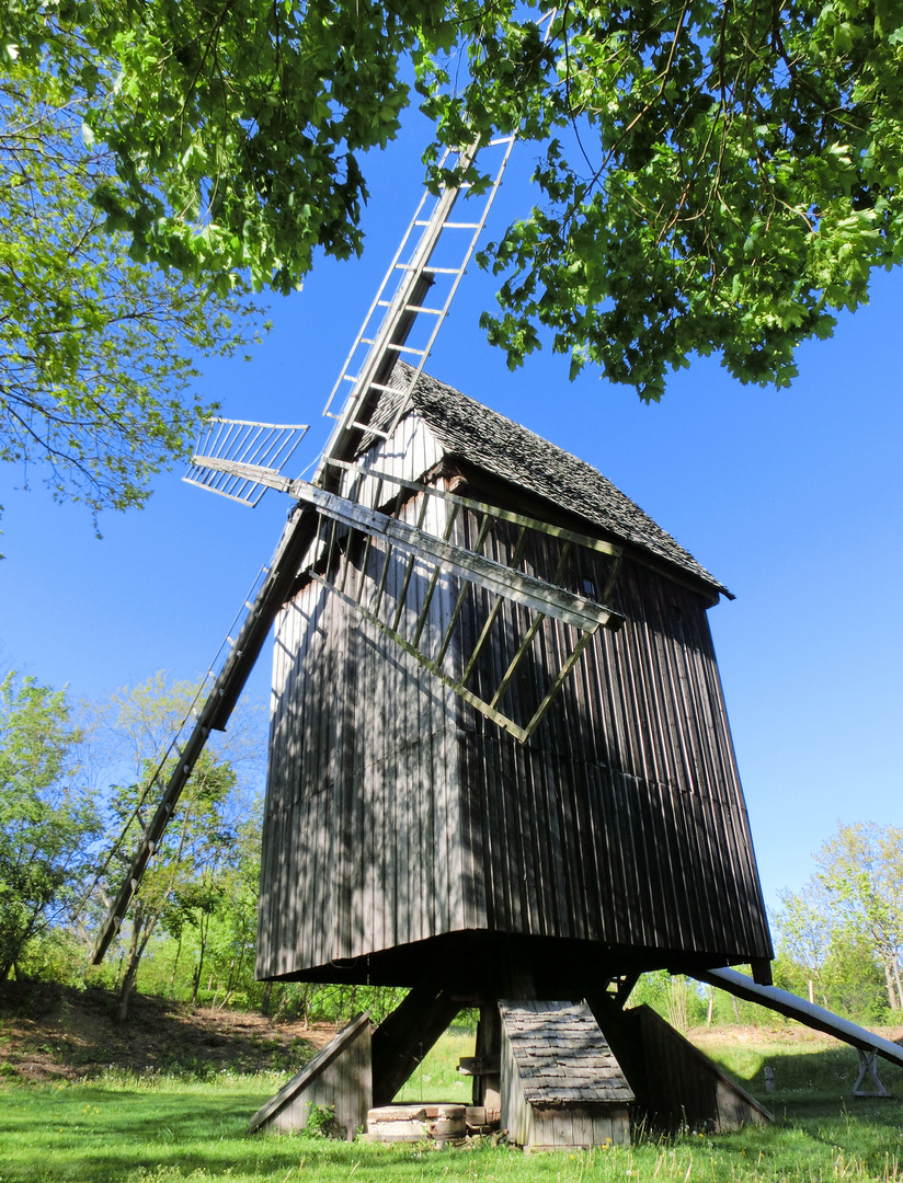 alte Windmühle im Schloss Blankenhain