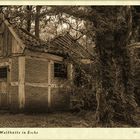 Alte zerstörte Waldhütte in Esche