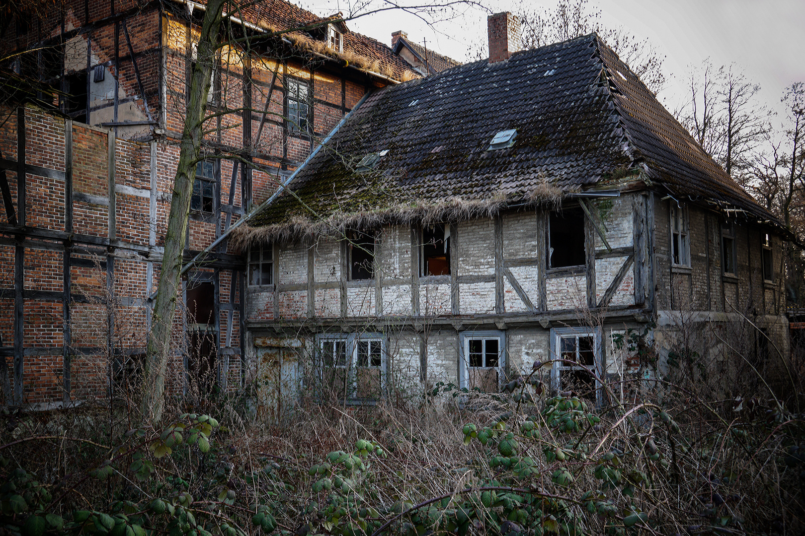 alte Ziegelei nähe Quedlinburg