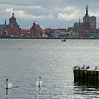 Altefähr Blick auf Stralsund