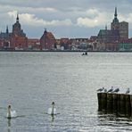 Altefähr Blick auf Stralsund