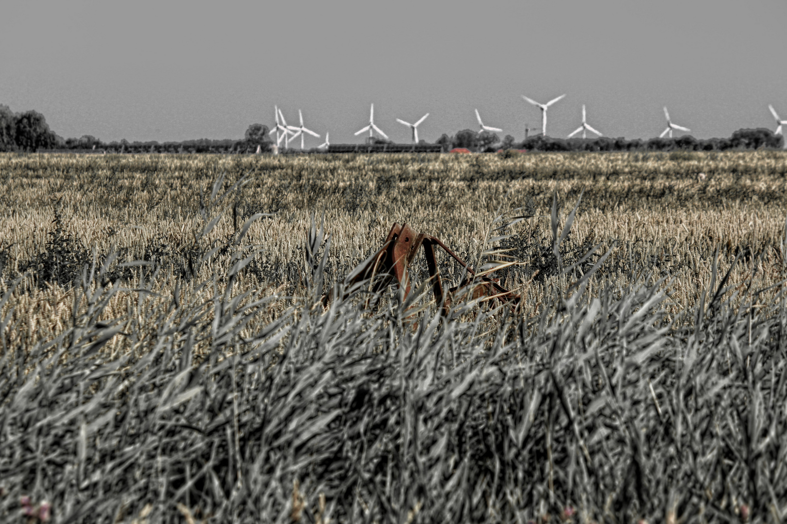 Alteisen im Feld