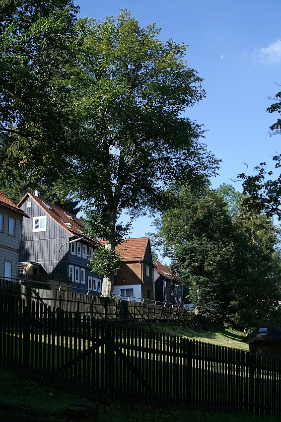 Altenau (Harz)