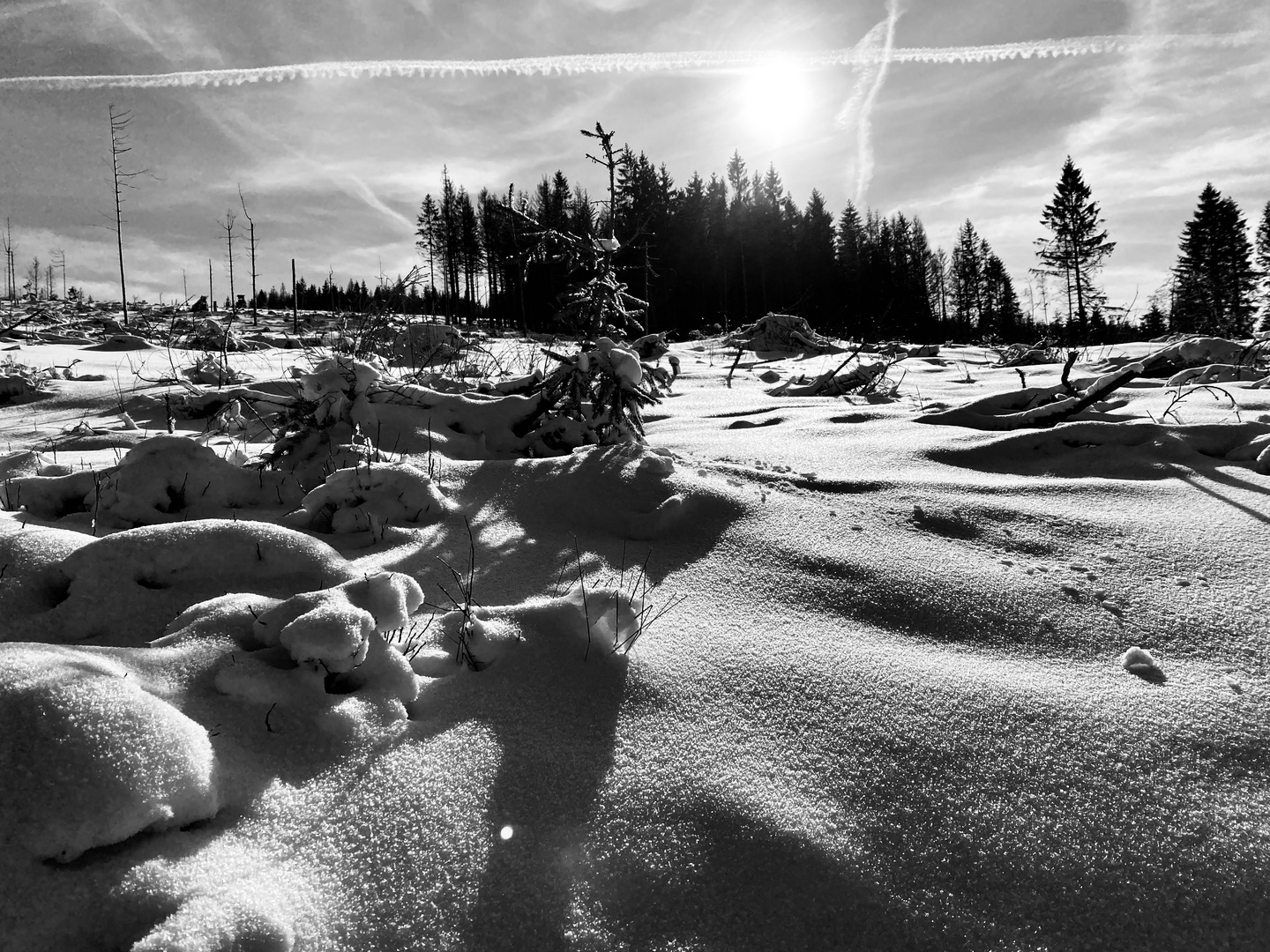 Altenau im Harz